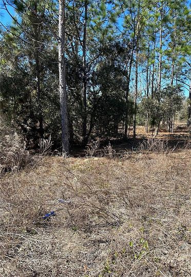 1 Acre of Residential Land for Sale in Dunnellon, Florida