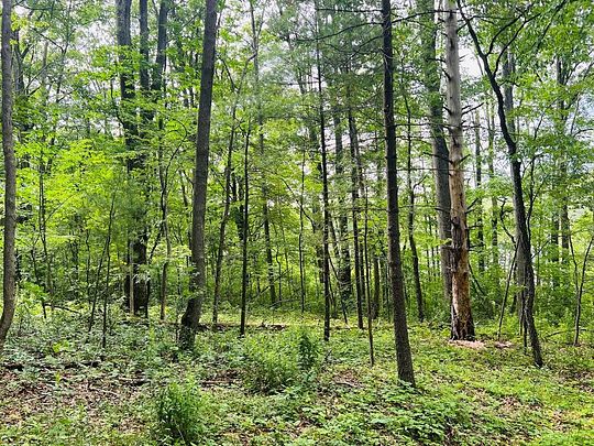 1 Acre of Land for Sale in Addison, New York