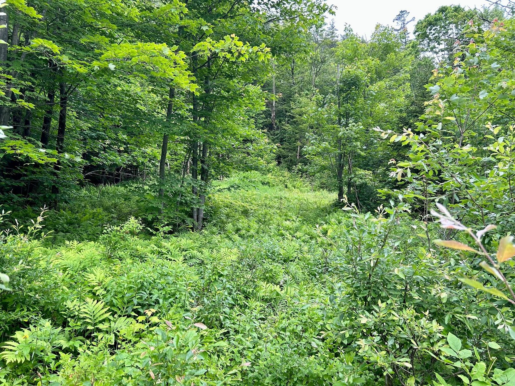 1.9 Acres of Residential Land for Sale in Kingfield, Maine