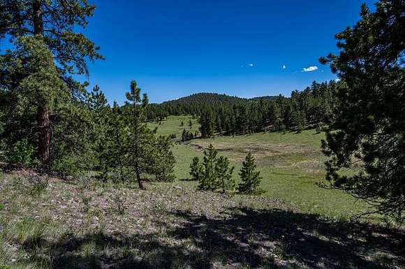 21 Acres of Land for Sale in Guffey, Colorado