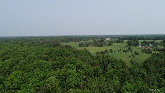 100 Acres of Recreational Land for Sale in Trenary, Michigan