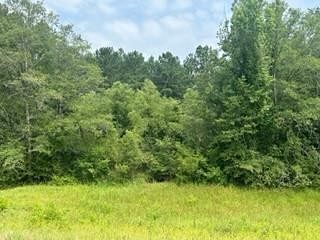 27 Acres of Recreational Land for Sale in Quitman, Mississippi