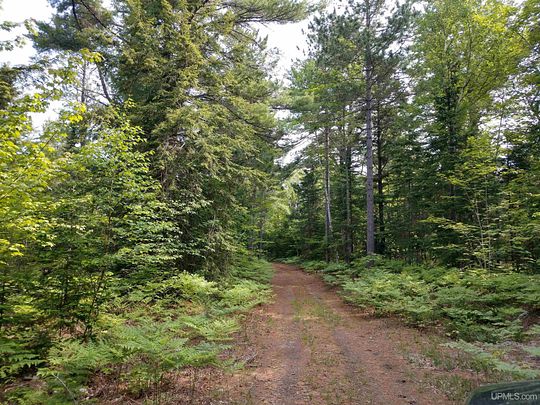 260 Acres of Recreational Land for Sale in Newberry, Michigan