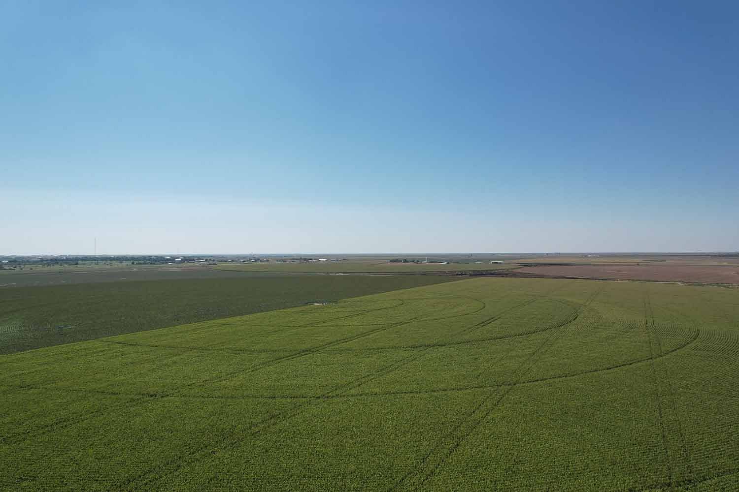 230 Acres of Agricultural Land for Sale in Dumas, Texas