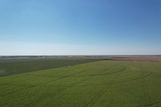 230 Acres of Agricultural Land for Sale in Dumas, Texas