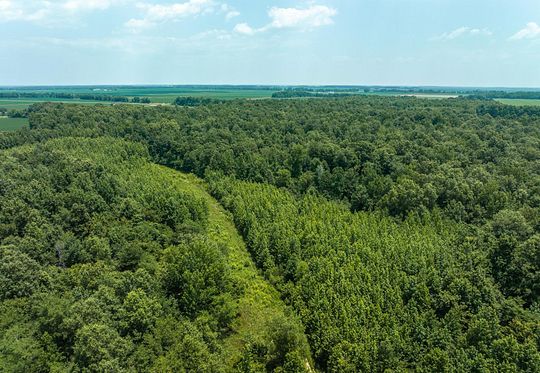 40 Acres of Recreational Land for Sale in Neelyville, Missouri