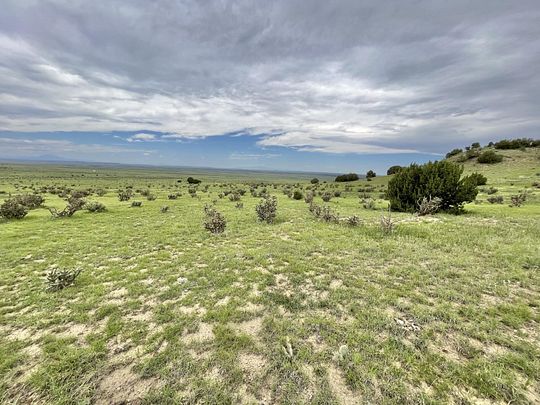 83.6 Acres of Recreational Land for Sale in Model, Colorado