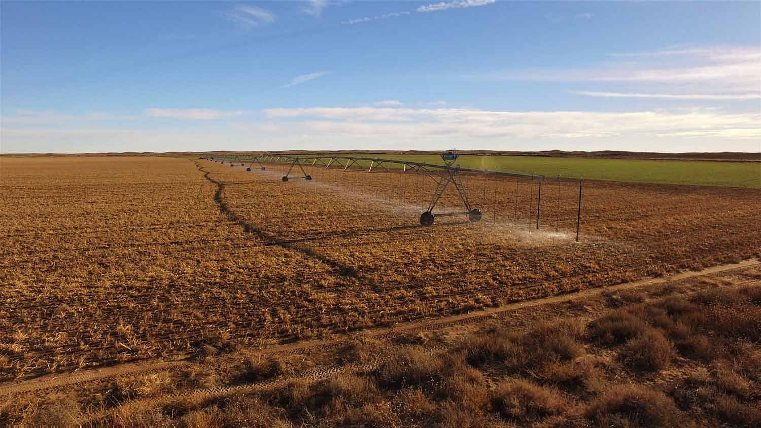 2,600 Acres of Improved Agricultural Land for Sale in Portales, New