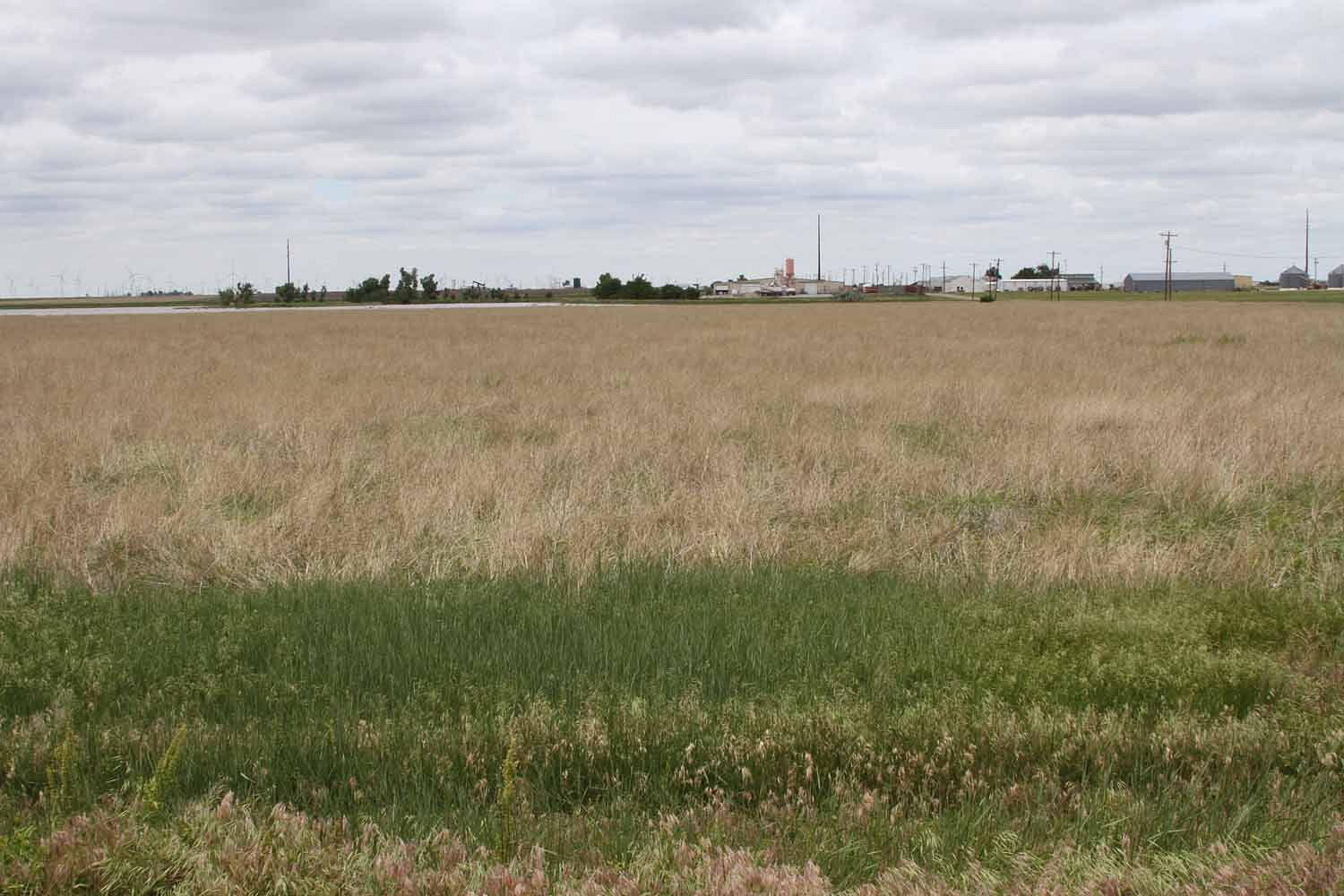 282 Acres of Land for Sale in Booker, Texas