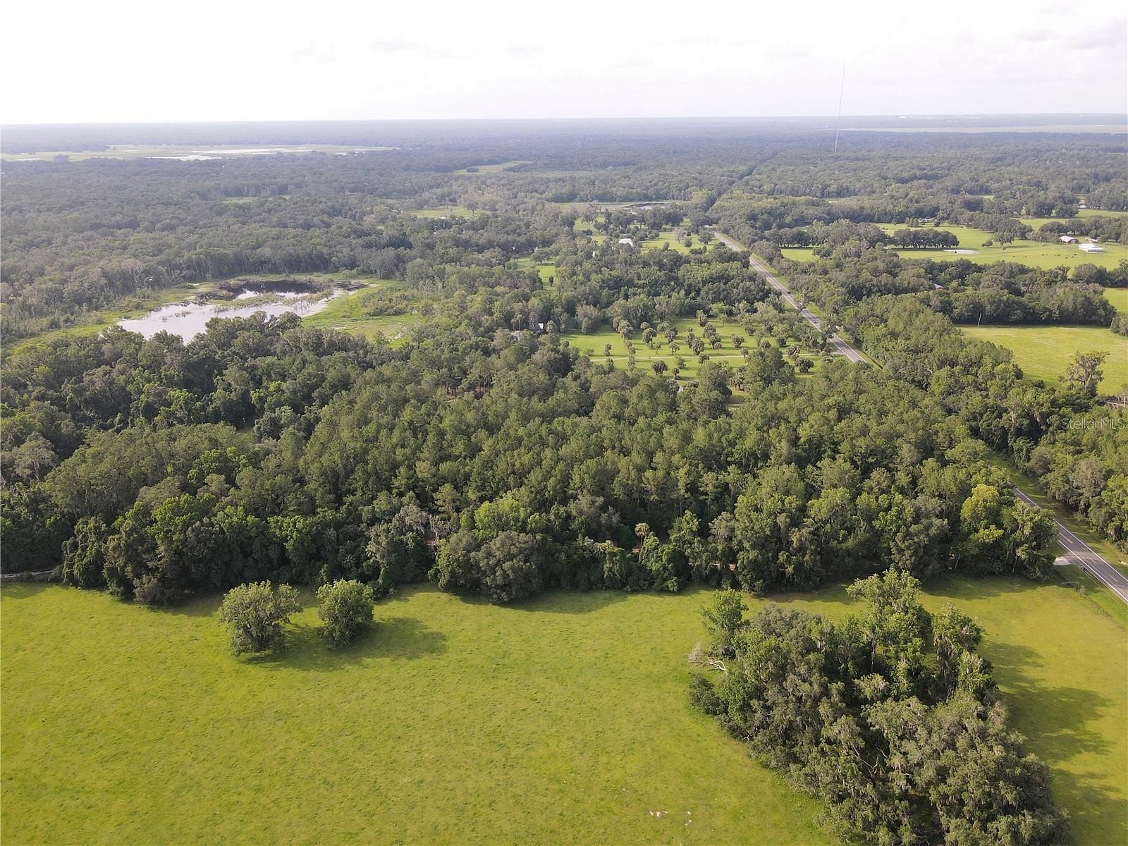 22.8 Acres of Agricultural Land for Sale in Micanopy, Florida