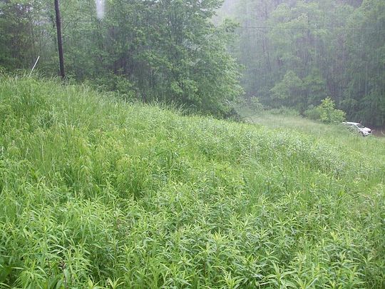 190 Acres of Recreational Land for Sale in Salyersville, Kentucky