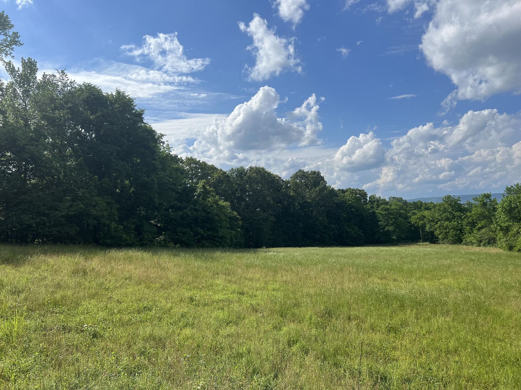 38.7 Acres of Recreational Land for Sale in Jasper, Tennessee