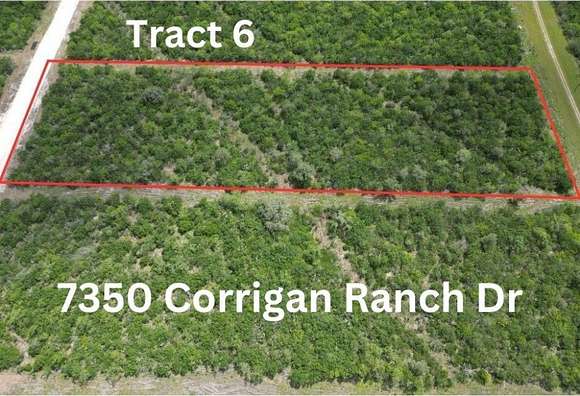 Residential Land for Sale in Skidmore, Texas