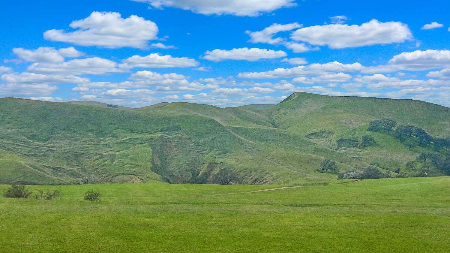 80 Acres of Agricultural Land for Sale in Esparto, California