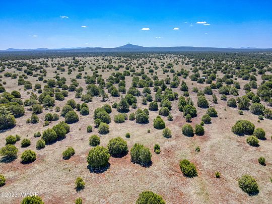 80.6 Acres of Land for Sale in Show Low, Arizona