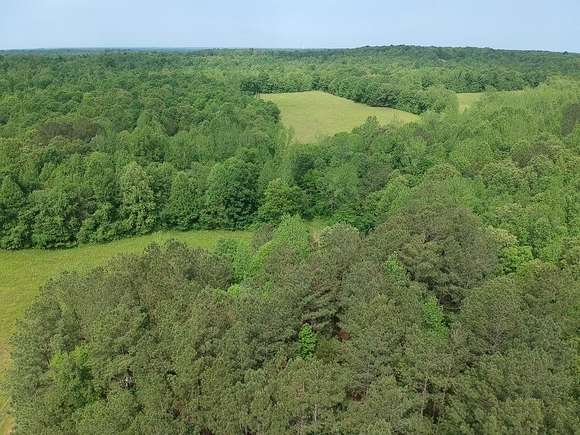 154 Acres of Recreational Land for Sale in Big Sandy, Tennessee