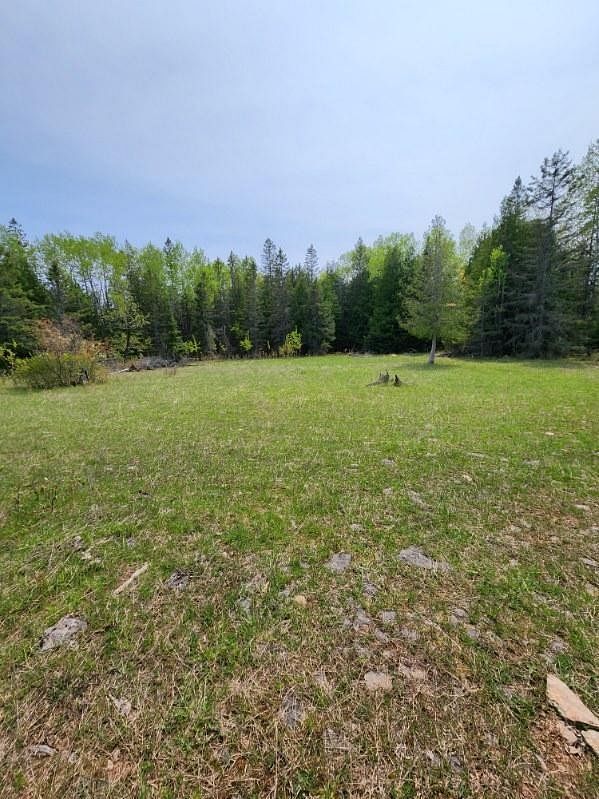336 Acres of Recreational Land for Sale in Posen, Michigan - LandSearch