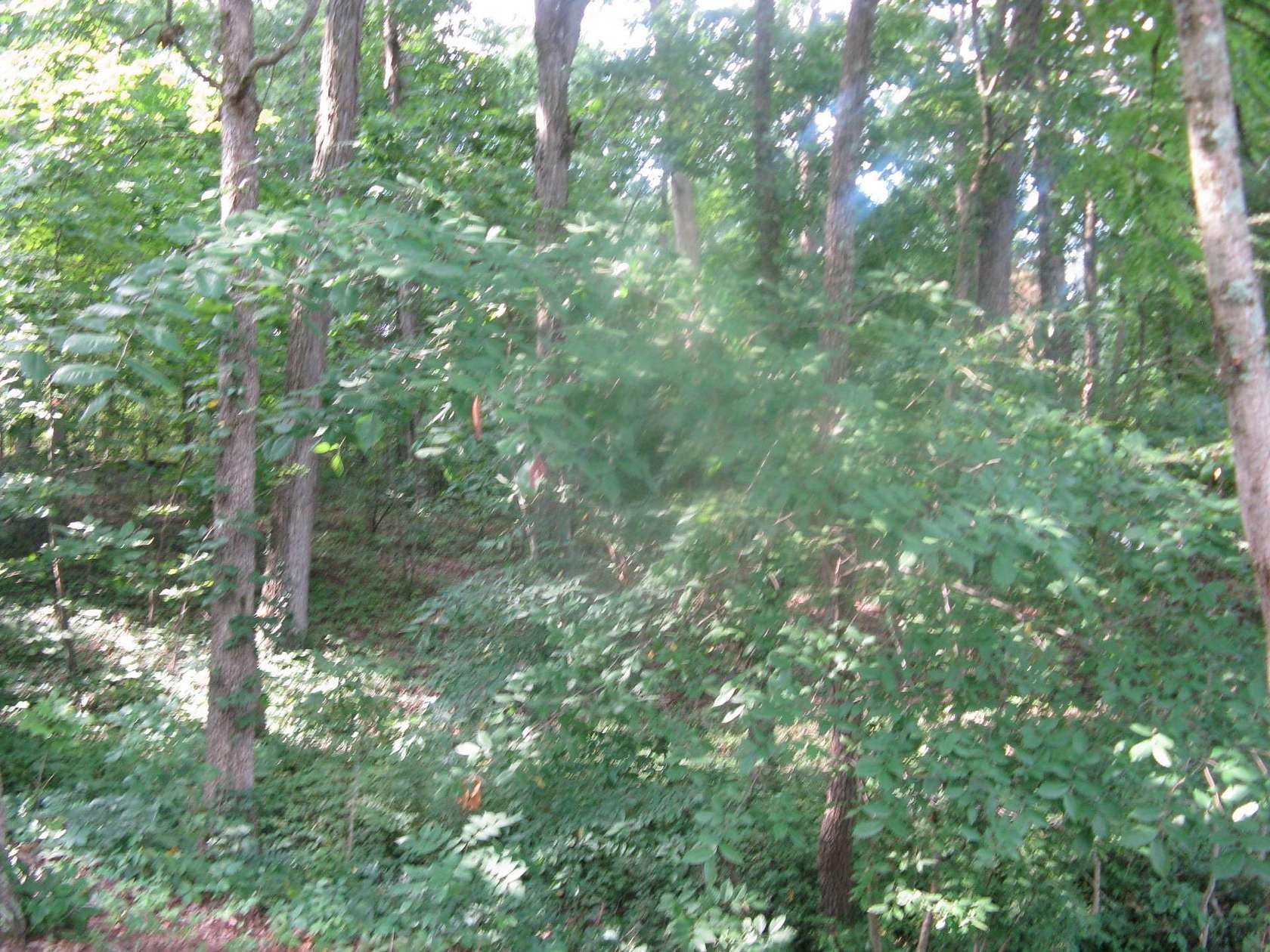 0.19 Acres of Residential Land for Sale in Santa Claus, Indiana