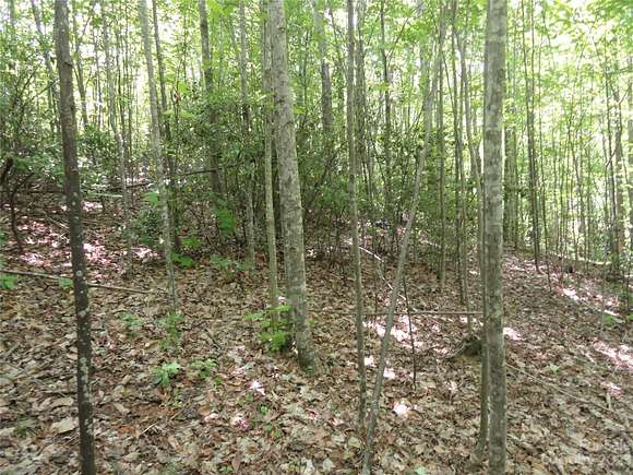 2.5 Acres of Residential Land for Sale in Nebo, North Carolina