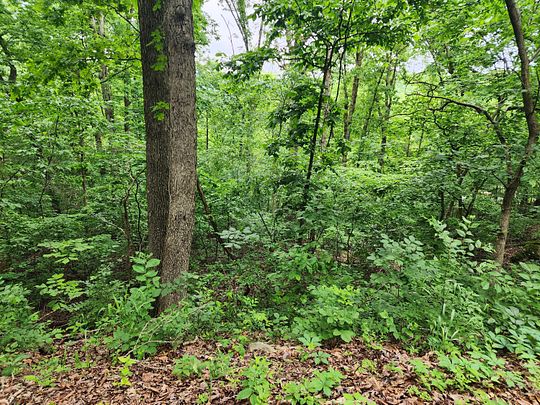 0.27 Acres of Residential Land for Sale in Hollister, Missouri
