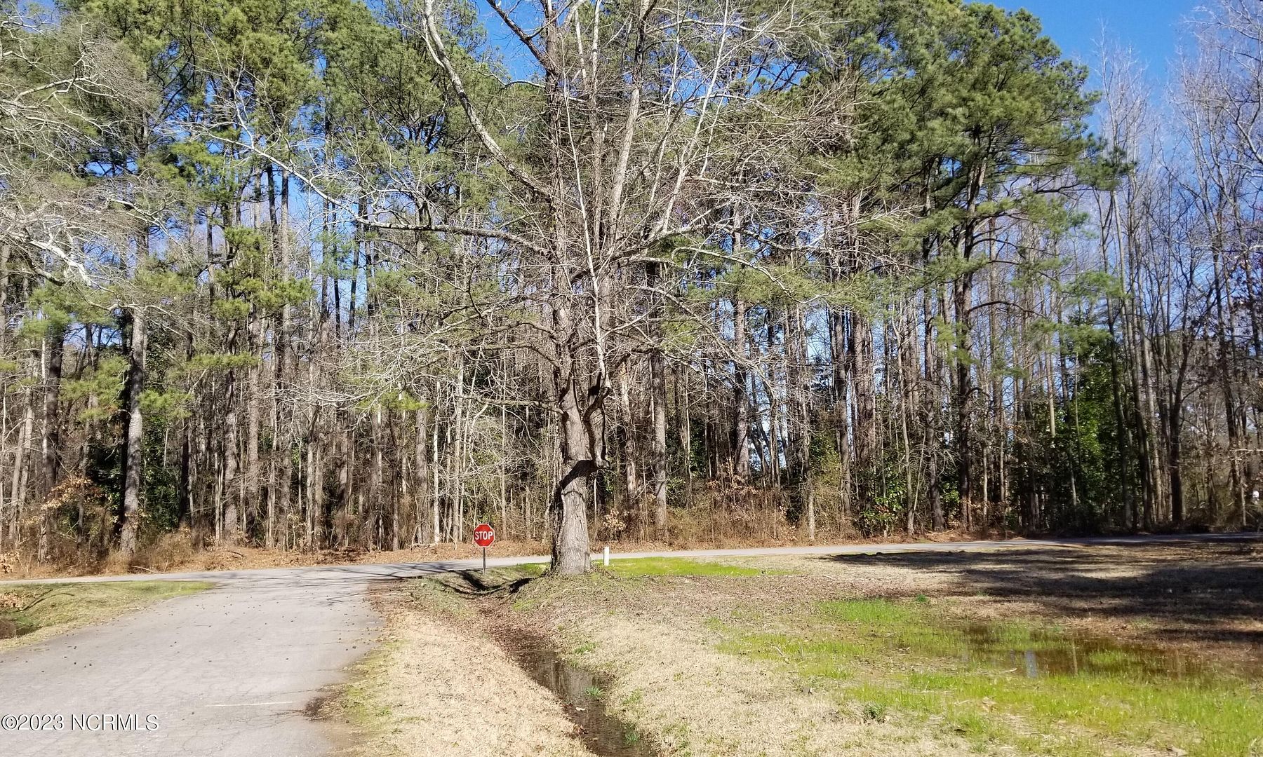 1.1 Acres of Land for Sale in Whitakers, North Carolina