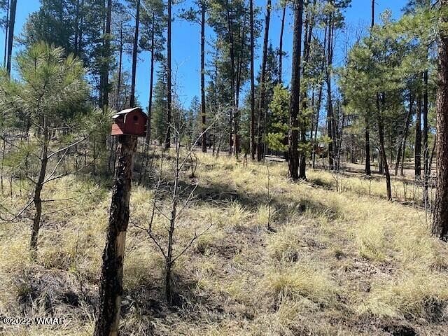 0.54 Acres of Residential Land for Sale in Alpine, Arizona