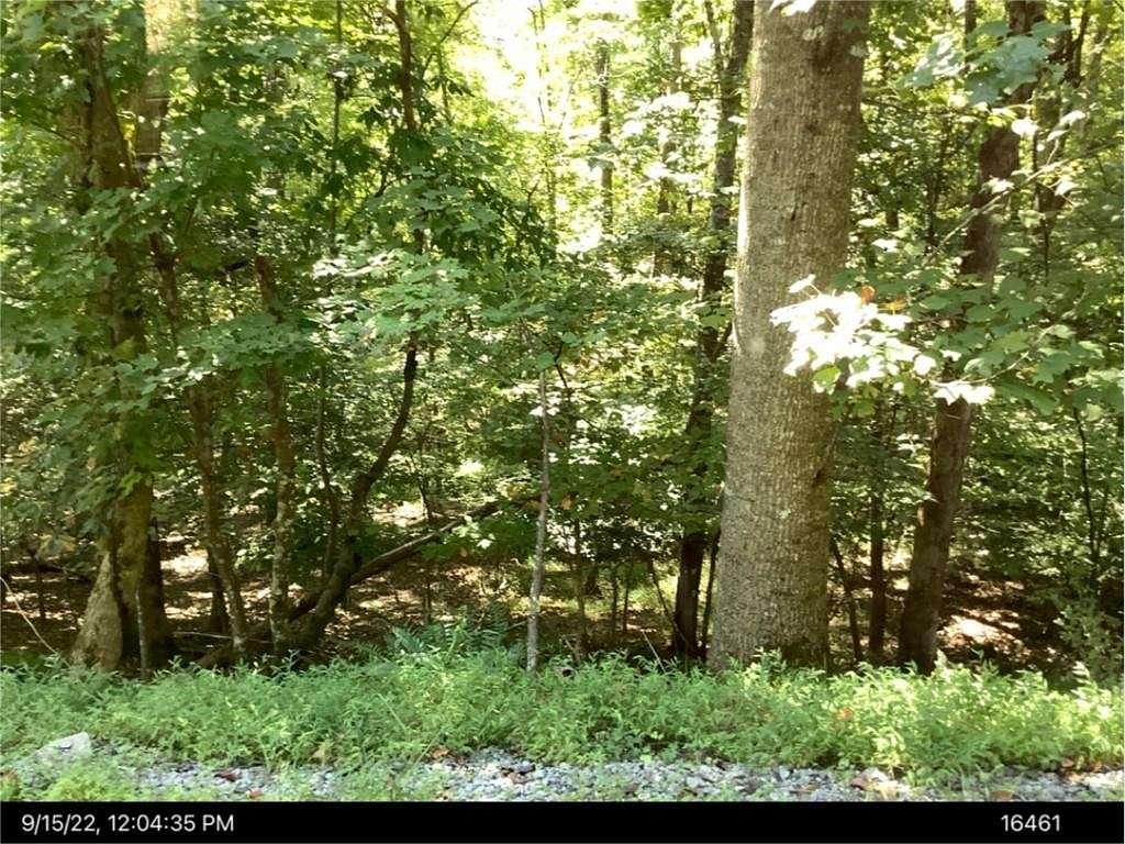 0.35 Acres of Residential Land for Sale in Ellijay, Georgia