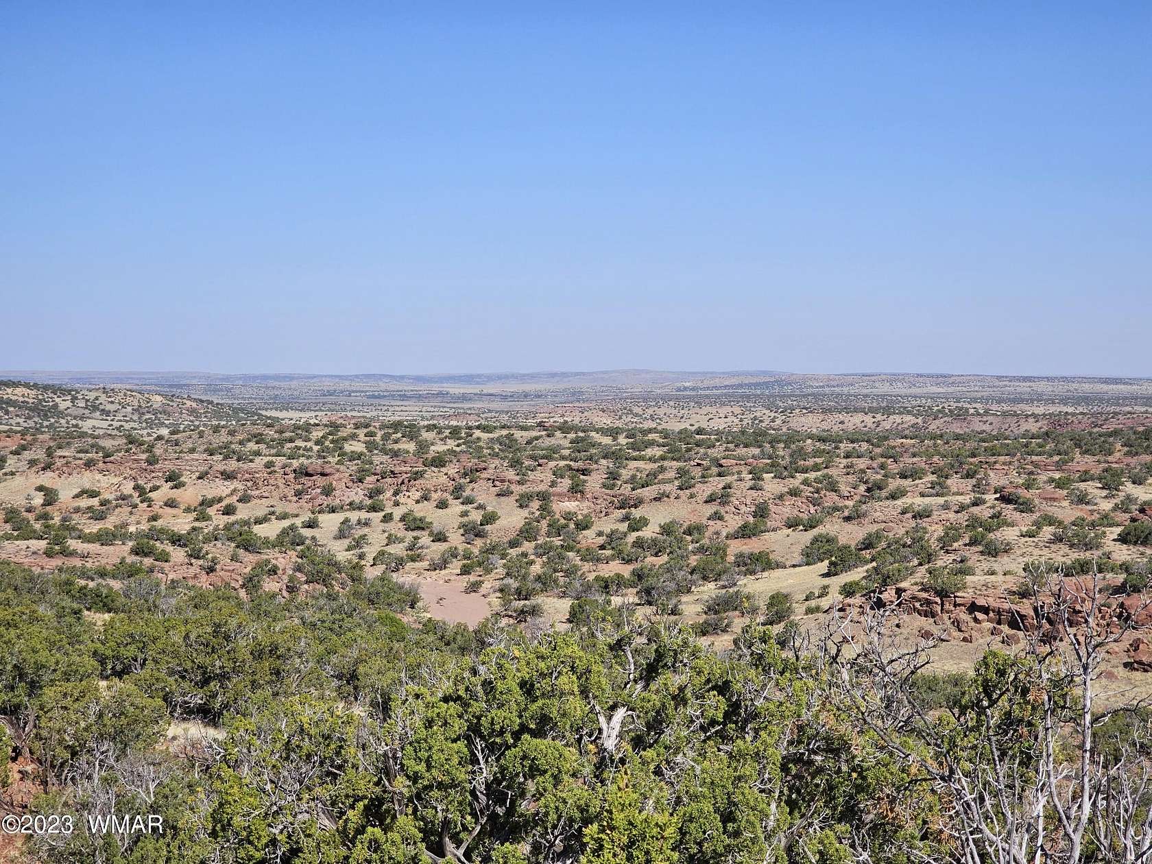 36.6 Acres of Land for Sale in St. Johns, Arizona
