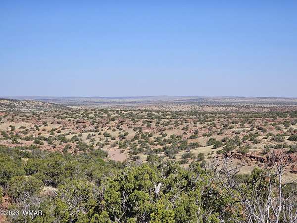 36.6 Acres of Land for Sale in St. Johns, Arizona