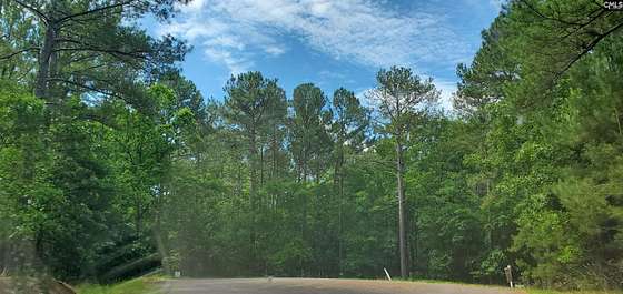 1.1 Acres of Residential Land for Sale in Batesburg, South Carolina