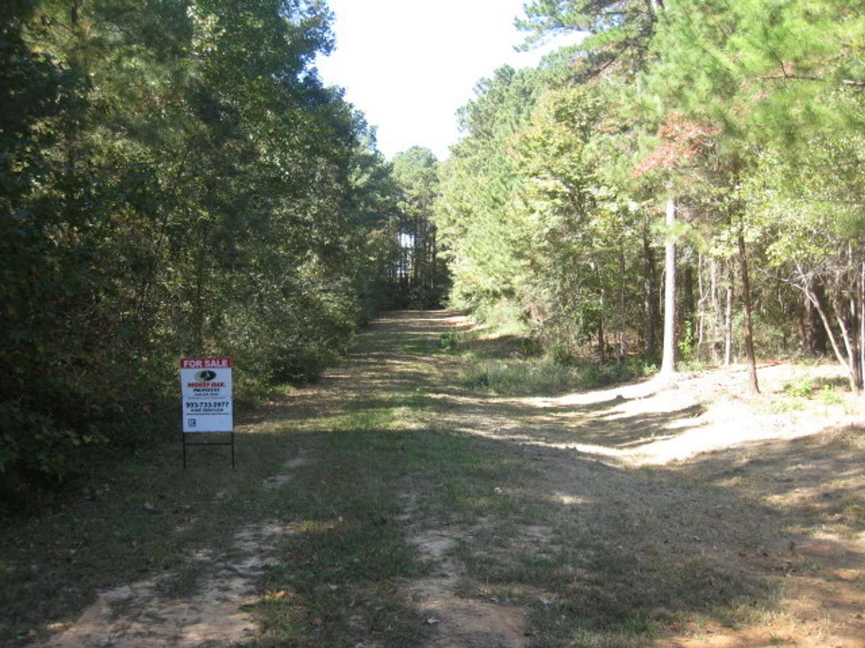 25 Acres of Recreational Land for Sale in Texarkana, Arkansas