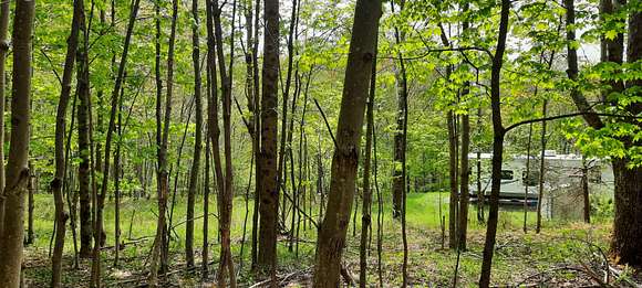 20 Acres of Recreational Land for Sale in Hamden, New York