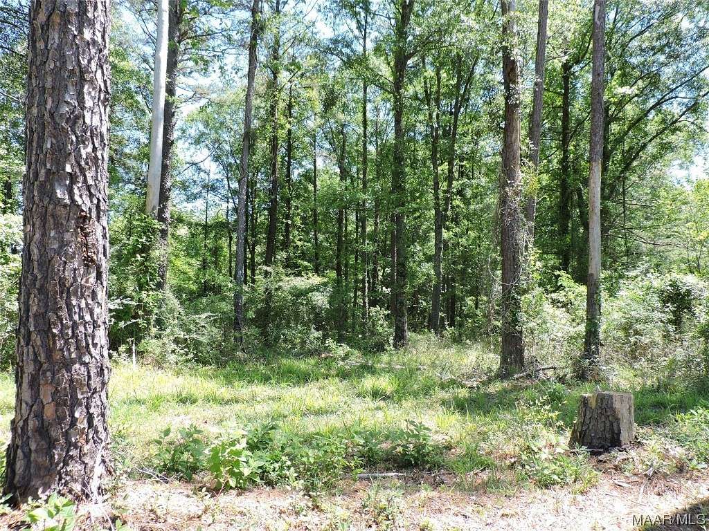 0.79 Acres of Residential Land for Sale in Greenville, Alabama