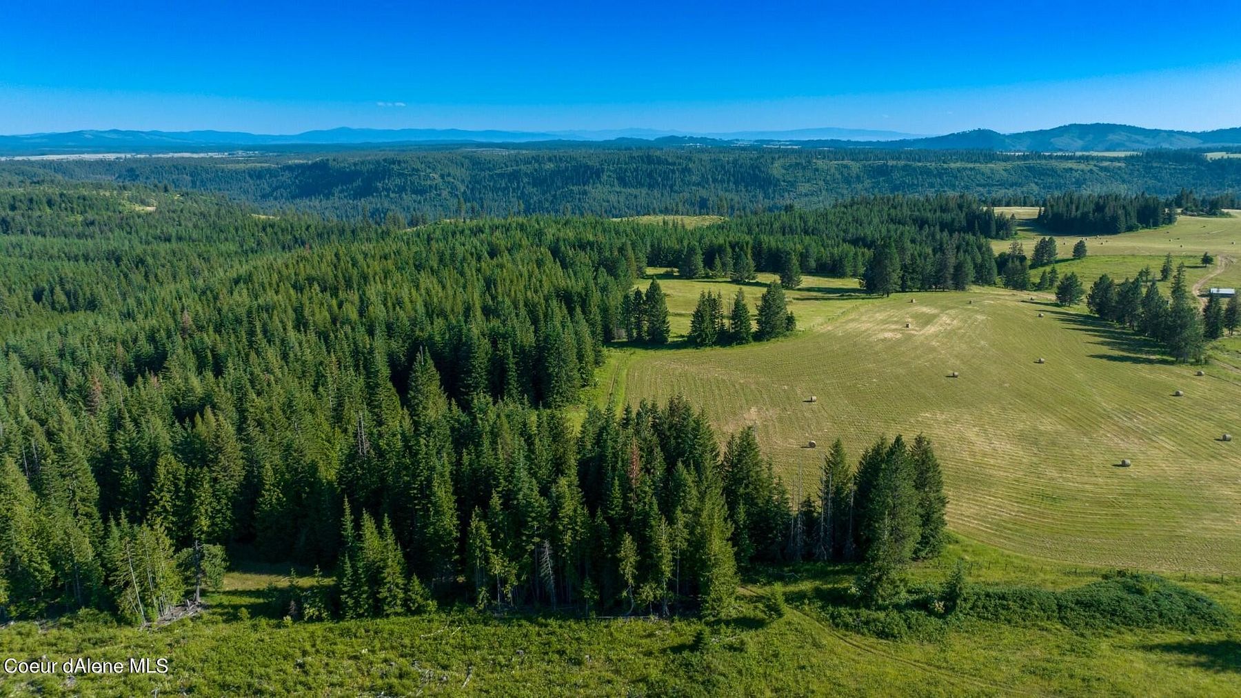 19.7 Acres of Land for Sale in Weippe, Idaho