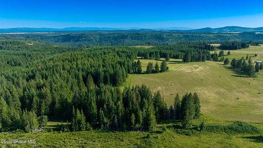 19.7 Acres of Land for Sale in Weippe, Idaho