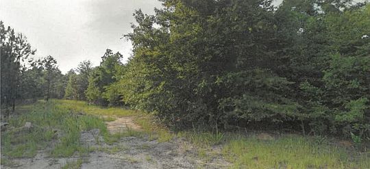 245 Acres of Land for Sale in Hephzibah, Georgia