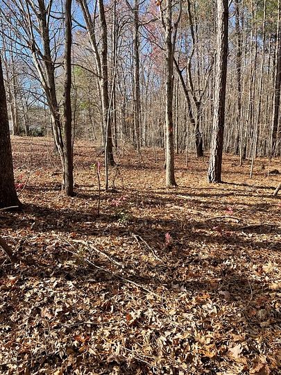 16.1 Acres of Land for Sale in Clarksville, Virginia