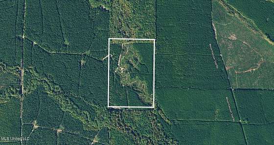 60 Acres of Recreational Land for Sale in Scooba, Mississippi