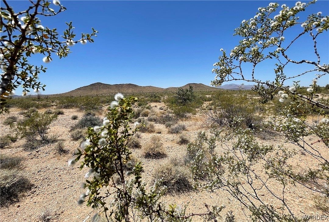 20 Acres of Recreational Land & Farm for Sale in Yucca, Arizona