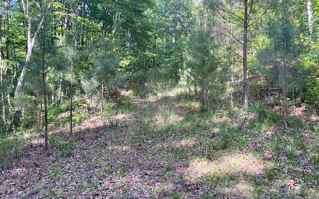 1.1 Acres of Land for Sale in Ellijay, Georgia
