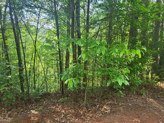0.25 Acres of Residential Land for Sale in Helen, Georgia