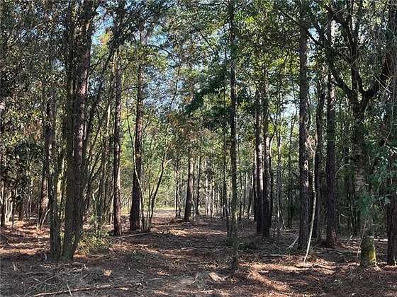 5.01 Acres of Residential Land for Sale in Covington, Louisiana