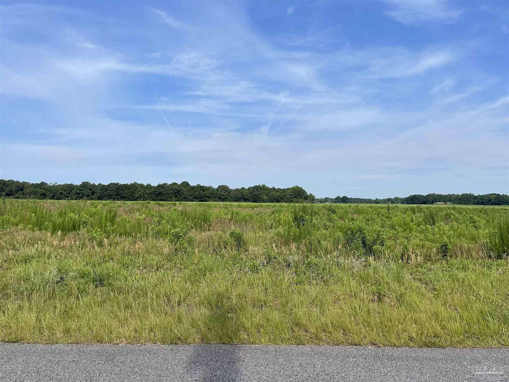 16.7 Acres of Land for Sale in Jay, Florida