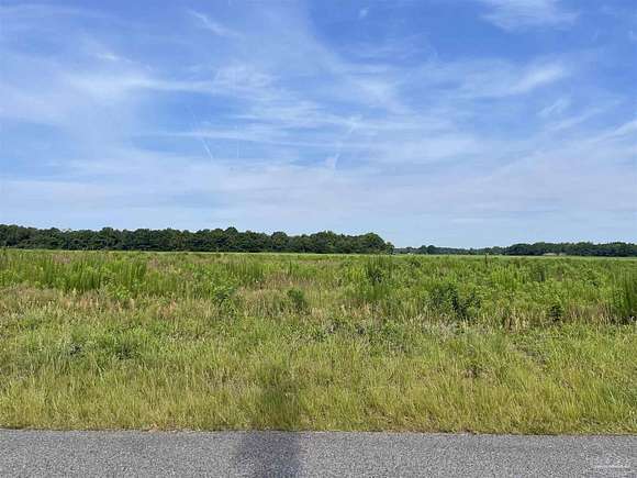 16.7 Acres of Land for Sale in Jay, Florida