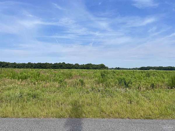 16.7 Acres of Land for Sale in Jay, Florida