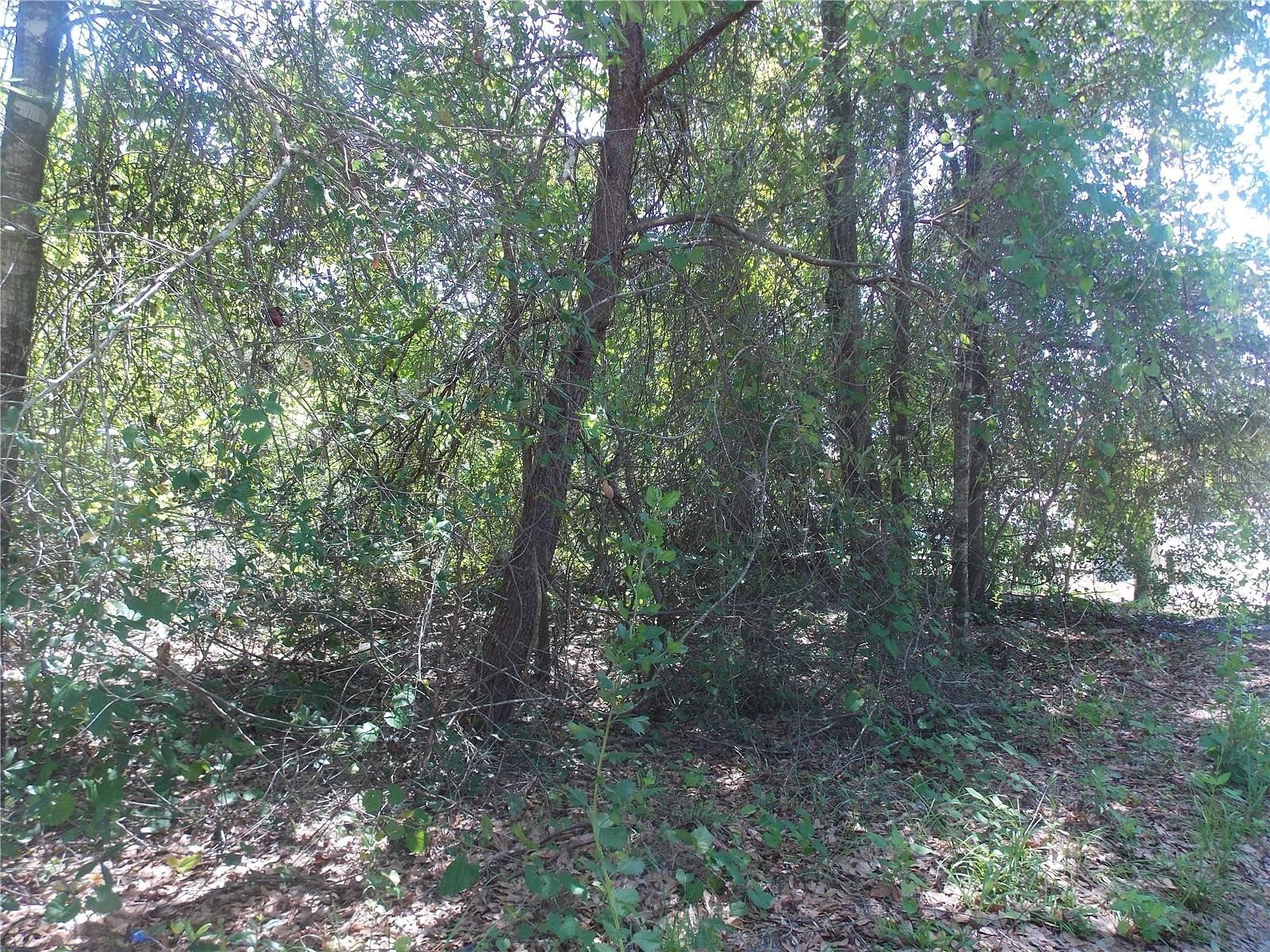 0.43 Acres of Residential Land for Sale in Paisley, Florida