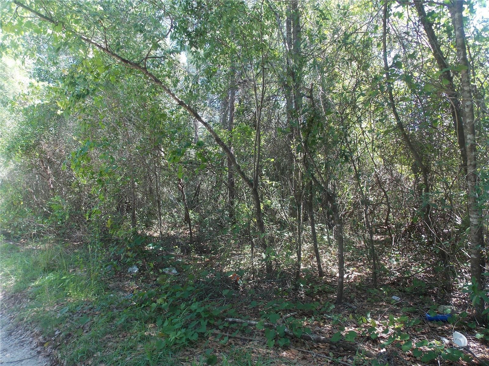 0.49 Acres of Residential Land for Sale in Paisley, Florida