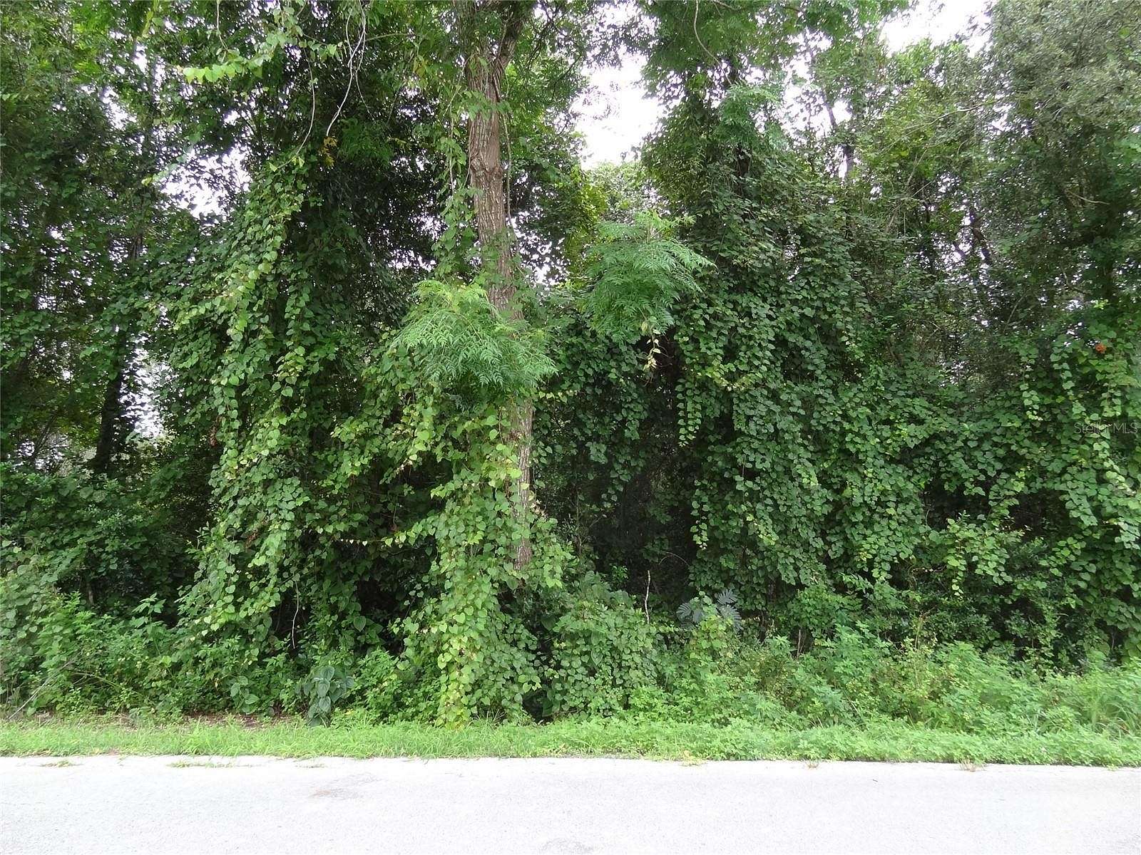 0.33 Acres of Residential Land for Sale in DeLand, Florida