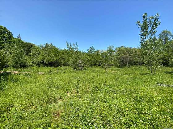 2.7 Acres of Residential Land for Sale in Jericho, New York