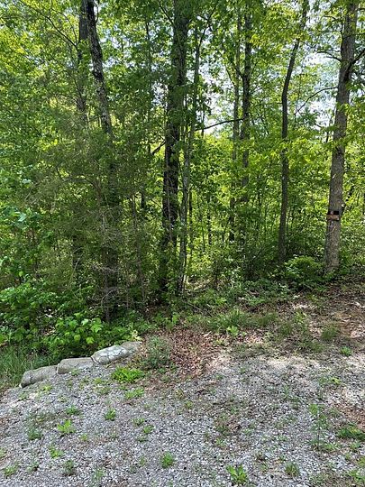5 Acres of Residential Land for Sale in Altamont, Tennessee